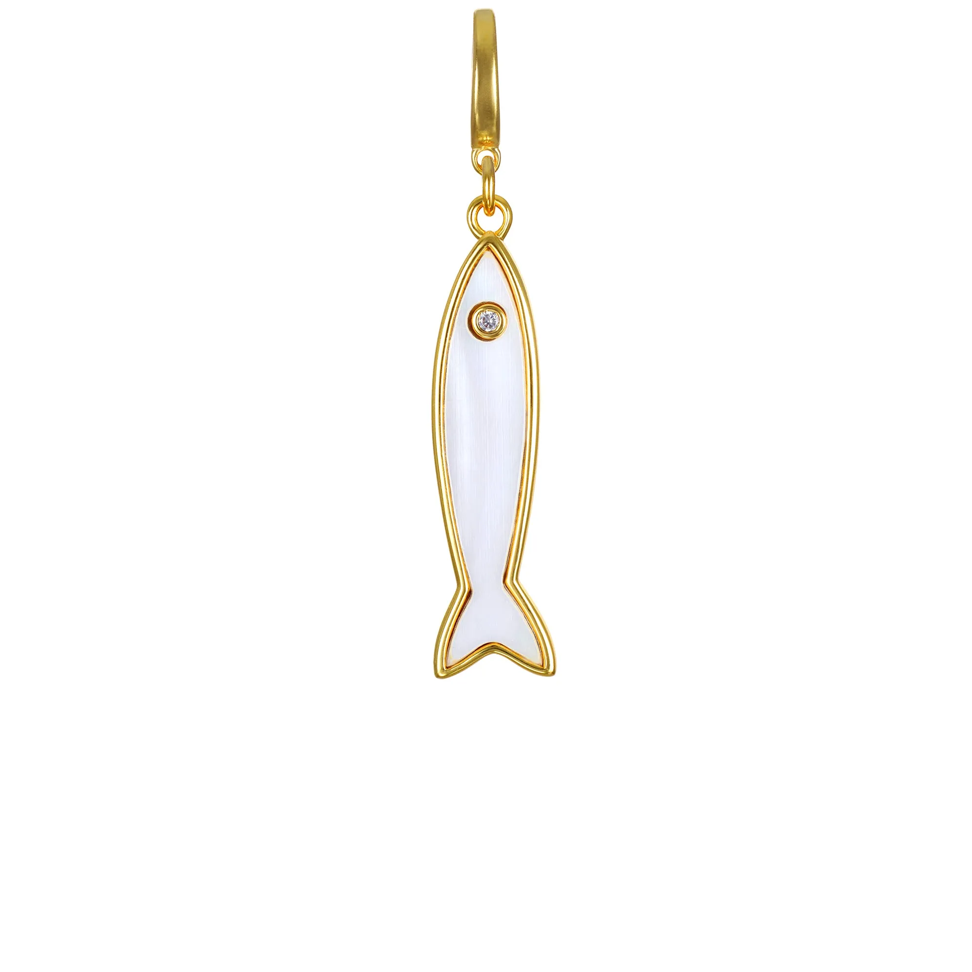 Cisco Clip-On Charm